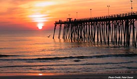 Palmetto Creek Southport North Carolina Homes and Real Estate